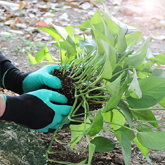 Transform Your Gardening Experience with Gardening Gloves With Claws