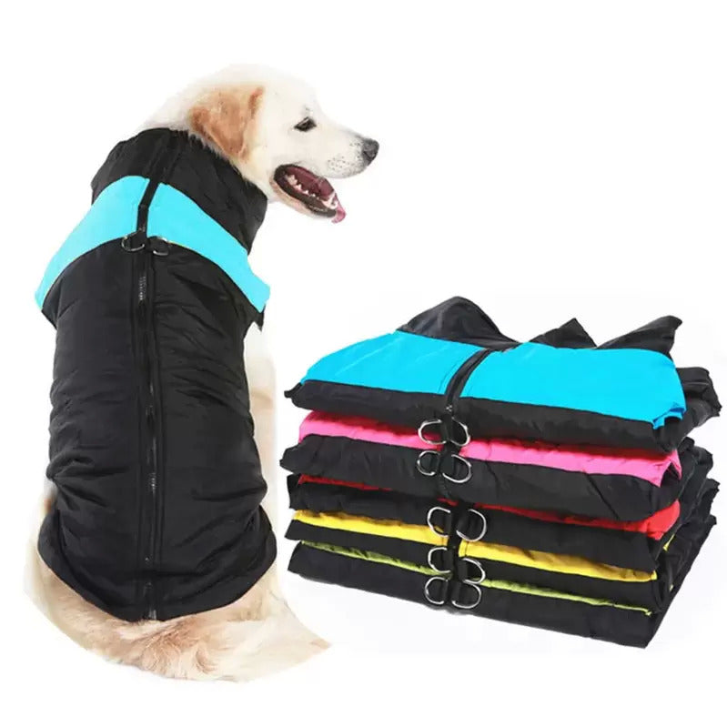 Keep Your Furry Friends Warm: The Trending Dog Winter Jackets!