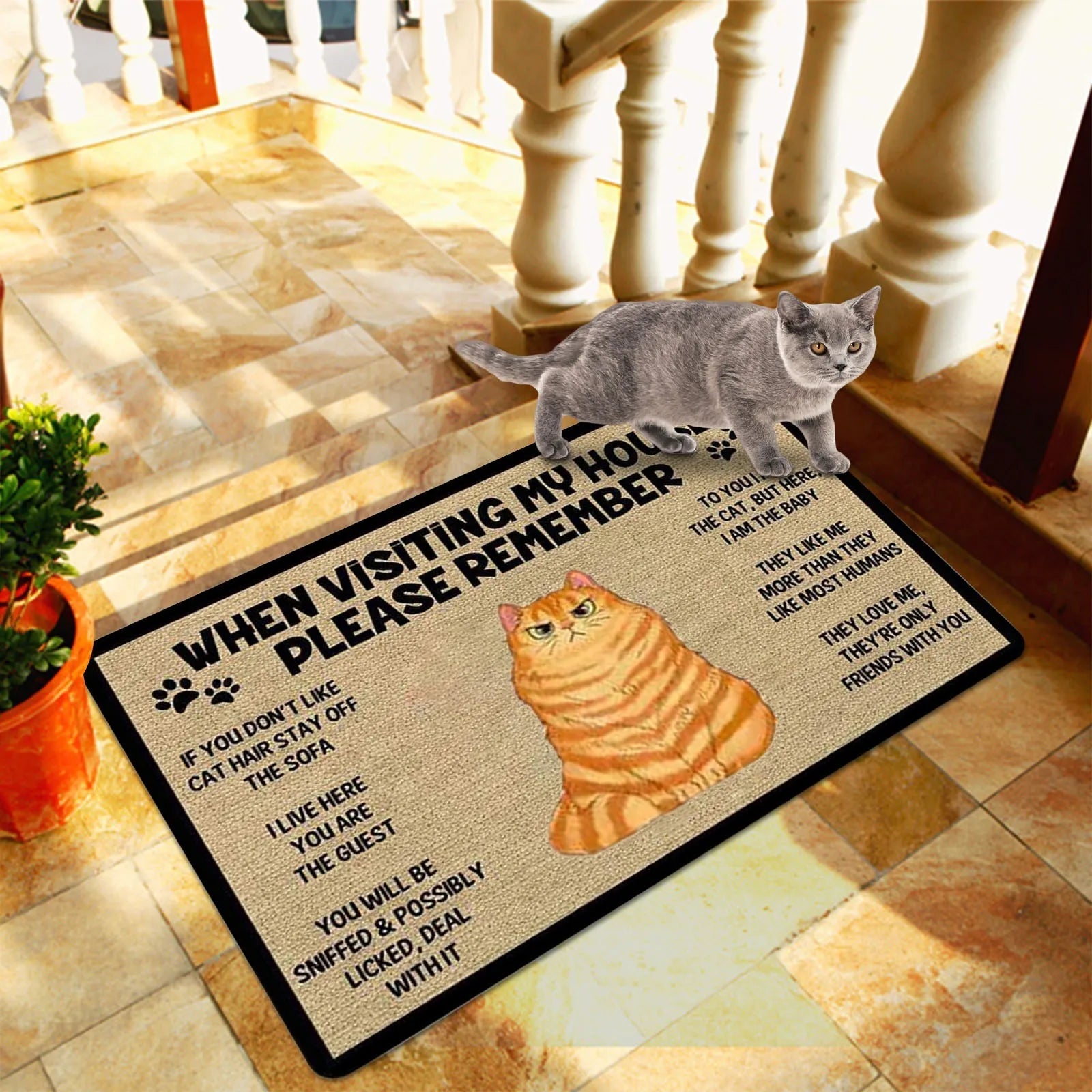 Keep In Mind When Visiting The House Cartoon Cat Welcome Doormats Home  Decoration Anti-slip Front